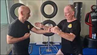 Man Dan Chong | Southern Mantis Kung Fu - Chow Gar Tong Long | Sifu Paul Whitrod