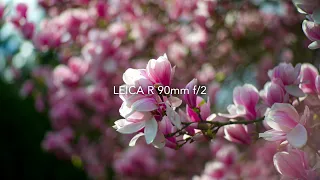 Leica R 90mm f2