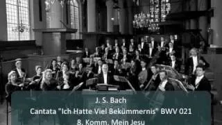 J. S. Bach - Cantata "Ich Hatte Viel Bekümmernis" BWV 21 - 8. Komm, Mein Jesu (8/11)