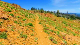 Marble Mountain Wilderness; Northern California