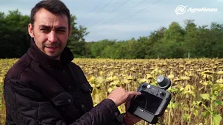 Drónos permetezés a gyakorlatban