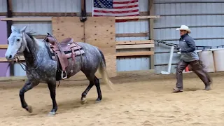 My Horse Won’t Stand Still!