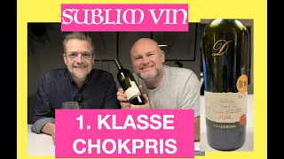 #116 CHILES BEDSTE BLEND? ULTIMATIVE YPPERLIGSTE VIN FRA CASA DONOSO - KÆMPE OVERRASKELSE!