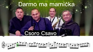 Darmo ma mamičko | Csoro Csavo - Sólo Transcription 🪗