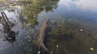 Yellow Water Cruise at  Kakadu National Park.