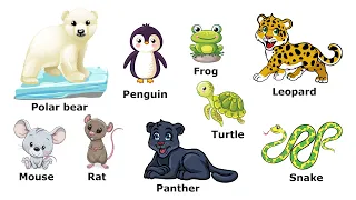 Учим английский. Дикие животные. Wild animals. Учим название диких животных на английском. Часть 3.