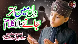 Muahammad Talha Qadri | New Heart Touching Naat 2024 | Kisi Dard Mand Ke Kam Aa | Lyrical Video