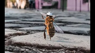 Накурили пчел силитрой