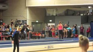 Spring Cup Nord Fg90 Team Gym 2014