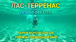 Лас-Терренас (Доминикана): рынок морепродуктов, пляжи, подводный мир - iDominicana.com