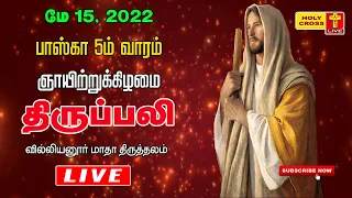 15 May 2022 Sunday Eve Mass | Villianur Lourdes Shrine | Holy Cross Tv | Daily Tv Mass | Tv Mass