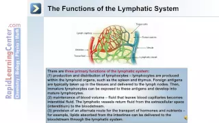 Immunity and The Lymphatic System - Part 1 of 2