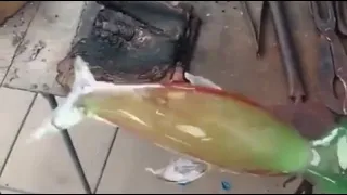 Blown glass dolphin