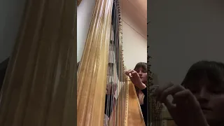 The Moldau - Smetana (harp part)