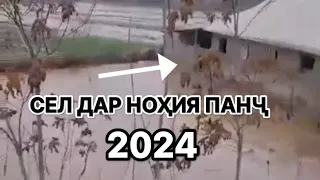 ФАВРӢ. СЕЛ ДАР НОҲИЯИ ПАНҶ ДАР СОЛИ 2024. #таджикистан #2024 #дождь