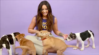 DEMI LOVATO LAUGHING WITH PUPPIES COMPILATION