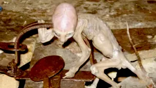 Top 5 Scary Alien Sightings NASA Has Been Hiding - Part 2