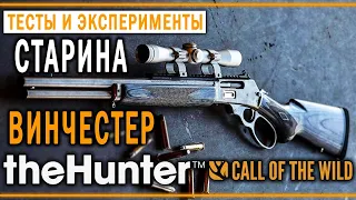 theHunter Call of the Wild #21 🐻 - Охота с Рычажной Винтовкой и Рекурсивным Луком