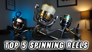 The Top 5 Spinning Reels Under $250! 2024 Buying Guide