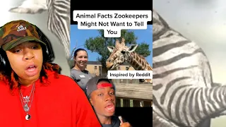 Hood Nature - Animal Secrets Zoos Don’t Want You To Know | SimbaThaGod Reacts