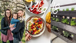 Zahrada v dubnu, inspirace na jídla | vlog #18/2022 | MaruškaVEG