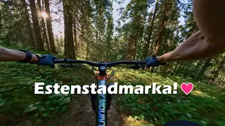 Estenstadmarka MTB - Liaåsen, Snirkeln, Bjørnåsen, Slalom Baby & Hylla! DNM RCP-2S Test Ride!