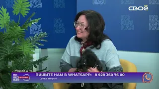 Полезная программа. Лучший друг