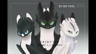 HTTYD Night Light - Hey Brother [TRIBUTE]