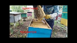 Пчелы и урожай  Фильм СССР. Пчеловодство для начинающих