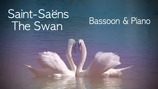 Saint Saëns - The Swan // French Bassoon