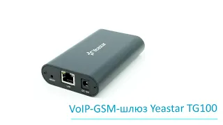 Yeastar TG100 | GSM-шлюз