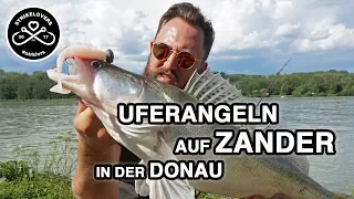 Zander fishing from the shore 🎣❤️ in rivers #strklvrs