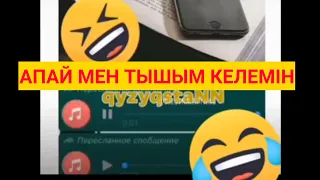 ӨТЕ ҚЫЗЫҚ 😂😂😂 Онлайн сабақтағы қызықтар