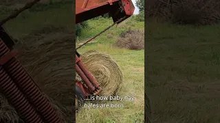 And THAT kids, is where baby hay bales come from.....