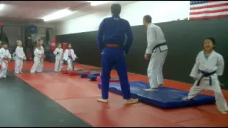 karate troll Jan2015