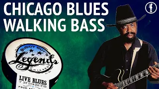 Playing Like a Pro | Chicago Blues Walking Bass from Buddy Guy's Tavern (No.256)