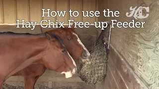 How to use the Hay Chix Free-Up Feeder