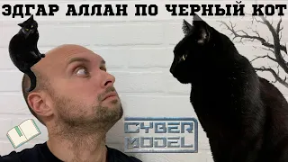 Cyber ЧТЕНИЕ  / Эдгар Аллан По ЧЕРНЫЙ КОТ / СТРИМ ИЗ КАМОРКИ