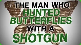 The Man Who Hunted Butterflies With a Shotgun