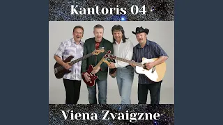 Viena zvaigzne