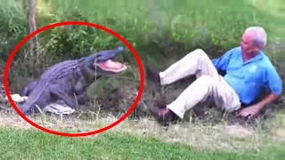30 Scariest Crocodile Encounters of the Year (Part 2)