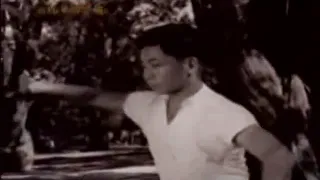 陳氏太極拳　陳発科二男　陳照奎 Chen Zhaokui  style taichi