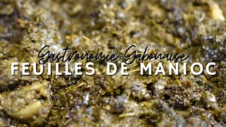 Feuilles de manioc - Cuisine du Gabon | Gastronomie Gabonaise