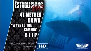 The Establishing Shot: 47 METERS DOWN "WAVE TO THE CAMERA" CLIP - 27 JUL 2017