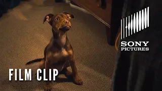 A DOG'S WAY HOME Clip - "It was Love" (In Theaters Tomorrow)