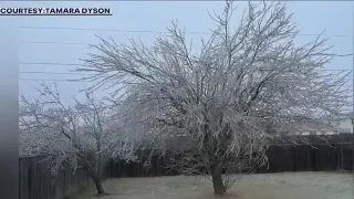 Texas winter weather photos: Ice accumulation causing issues | FOX 7 Austin