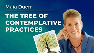 ACMHE Webinar: The Tree of Contemplative Practices with Maia Duerr