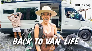 BACK TO VAN LIFE (this time... with a dog)