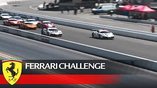 Ferrari Challenge North America – Sonoma 2021, Trofeo Pirelli Race 1