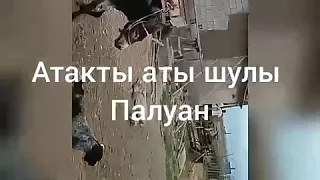 Аты шулы палуан чапа